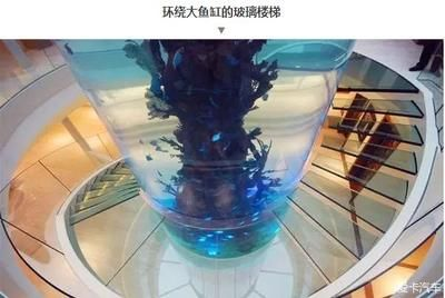 大魚缸怎么搬上樓梯：搬運大魚缸上樓梯搬家