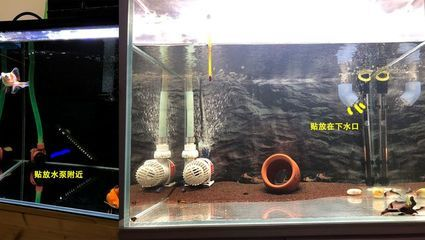大型魚(yú)缸加熱設(shè)備：大型魚(yú)缸加熱棒設(shè)備的使用注意事項(xiàng)在使用魚(yú)缸加熱設(shè)備的使用注意事項(xiàng)