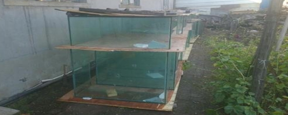 舊魚缸回收聯系方式