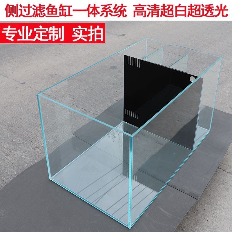 背濾魚(yú)缸貼紙：魚(yú)缸添加背濾和貼紙是兩種常見(jiàn)的裝飾和過(guò)濾方式