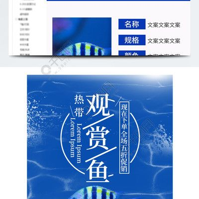 觀賞魚的文案短句（有關觀賞魚的優(yōu)美短句）