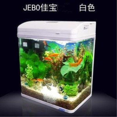 珠海市香洲陳月華水族檔（珠海香洲陳輝）