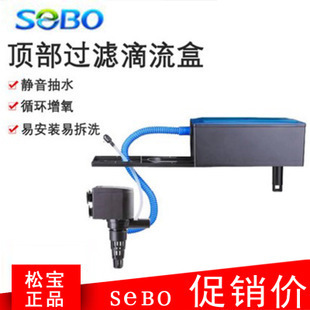 龍魚身上紅斑：龍魚身上紅斑怎么回事