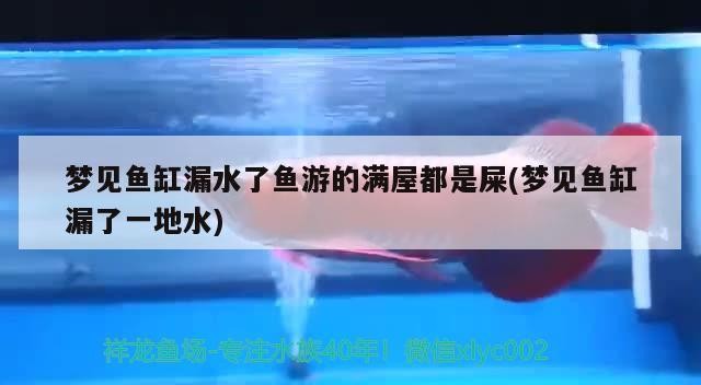 夢見魚缸漏水了魚游的滿屋都是屎(夢見魚缸漏了一地水)