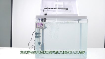 1.2米魚缸需要氧氣泵嗎:1.2米的魚缸需要氧氣泵嗎 魚缸百科 第1張 1.2米魚缸需要氧氣泵嗎:1.2米的魚缸需要氧氣泵嗎 1.2米魚缸需要氧氣泵嗎:1.2米的魚缸需要氧氣泵嗎 魚缸百科 第1張