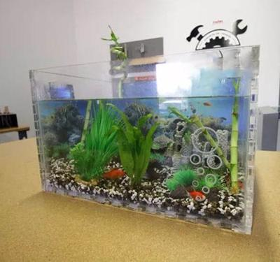 龍魚有哪些品牌