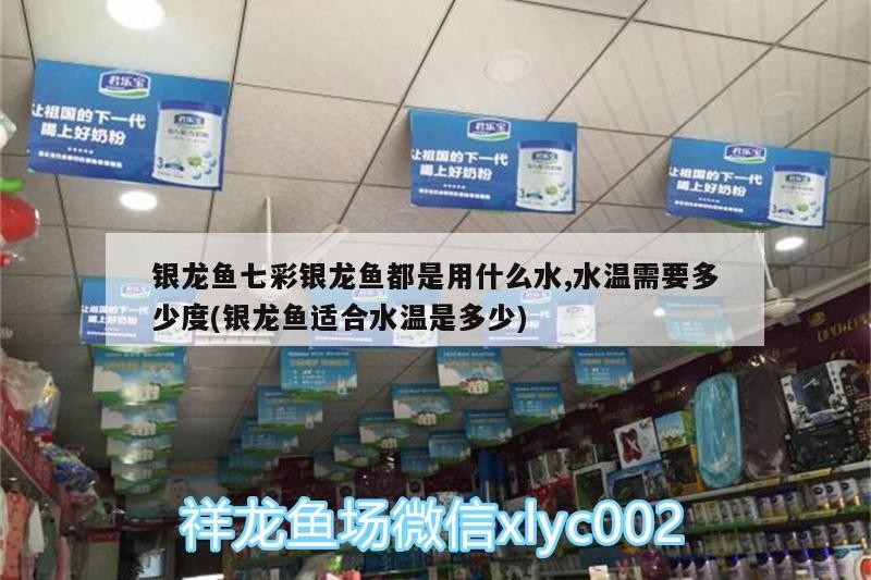 銀龍魚七彩銀龍魚都是用什么水,水溫需要多少度(銀龍魚適合水溫是多少)