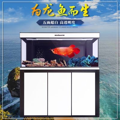 博特側溢流屏風缸怎么樣：博特側溢流屏風缸怎么樣博特側溢流屏風缸價格優勢 博特側溢流屏風缸怎么樣：博特側溢流屏風缸怎么樣博特側溢流屏風缸價格優勢 博特水族 第2張