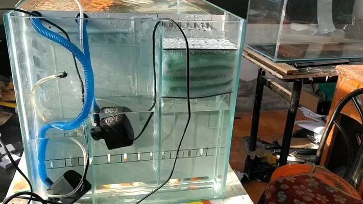 博特側溢流屏風缸怎么樣：博特側溢流屏風缸怎么樣博特側溢流屏風缸價格優勢 博特側溢流屏風缸怎么樣：博特側溢流屏風缸怎么樣博特側溢流屏風缸價格優勢 博特水族 第1張