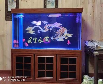 大型魚缸過濾器材怎么清洗：清洗大型魚缸過濾器材的優缺點和優缺點和缺點和缺點