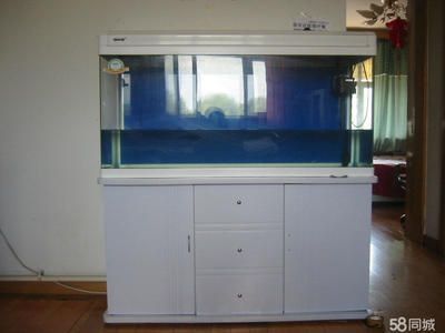 大型魚缸過濾器材怎么清洗：清洗大型魚缸過濾器材的優缺點和優缺點和缺點和缺點