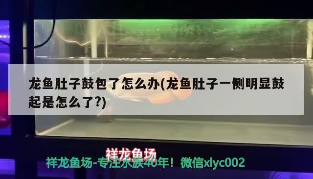 博特拉大學讀博費用：博特拉大學留學利弊