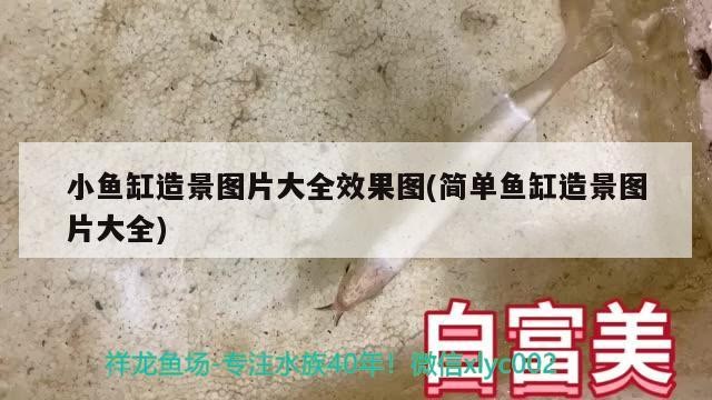 博特拉大學讀博費用：博特拉大學留學利弊