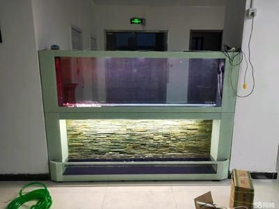 大型魚(yú)缸怎么消毒清洗：大型魚(yú)缸清洗和消毒方法