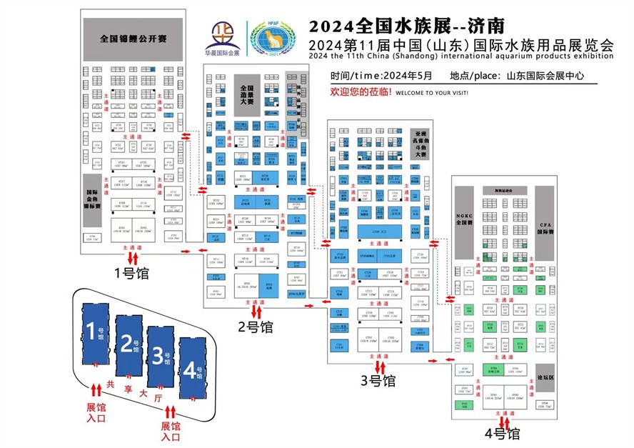 廣州魚缸批發市場大紅龍出了魚友家又收了條金問題金龍 廣州魚缸批發市場大紅龍出了魚友家又收了條金問題金龍 魟魚百科 第3張