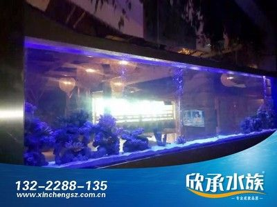 大型亞克力訂做魚缸：超大型亞克力魚缸定制 大型亞克力訂做魚缸：超大型亞克力魚缸定制 魚缸百科 第3張