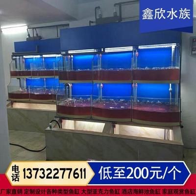 大型亞克力訂做魚缸：超大型亞克力魚缸定制 大型亞克力訂做魚缸：超大型亞克力魚缸定制 魚缸百科 第4張