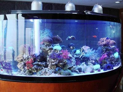 大魚缸養小魚要打氧嗎：大魚缸養魚需要打氧嗎，小魚缸養魚的注意事項和注意事項