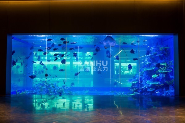 賽罕區(qū)荷鼎水族館（賽罕區(qū)荷鼎水族館電話）