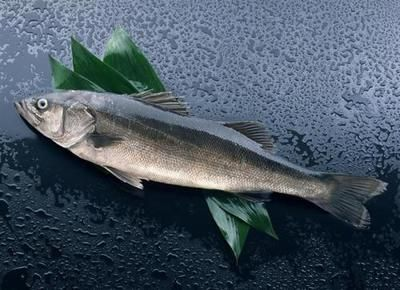 阜陽(yáng)龍魚(yú)vs祥龍魚(yú)場(chǎng)（探討阜陽(yáng)龍魚(yú)與祥龍魚(yú)場(chǎng)之間的差異時(shí)，我們需要明確兩個(gè)概念）