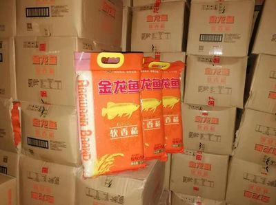 阜陽(yáng)龍魚(yú)vs祥龍魚(yú)場(chǎng)（探討阜陽(yáng)龍魚(yú)與祥龍魚(yú)場(chǎng)之間的差異時(shí)，我們需要明確兩個(gè)概念）