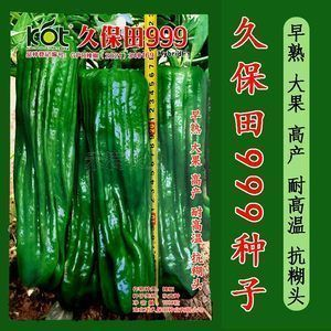 綠皮辣椒小紅龍與同類品種比較：綠皮辣椒小紅龍與其他品種的區別