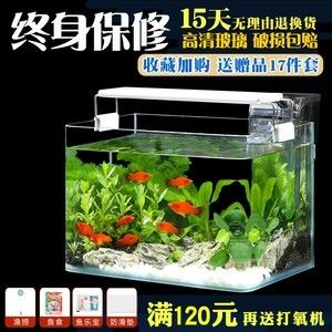 冬天魚缸如何換水：冬天魚缸換水需要注意水溫和溫差