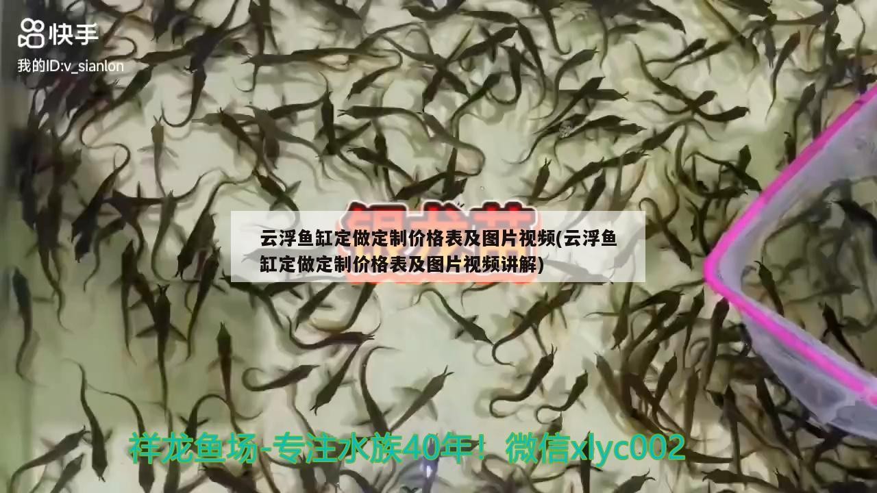 云浮魚缸定做定制價格表及圖片視頻(云浮魚缸定做定制價格表及圖片視頻講解) 云浮魚缸定做定制價格表及圖片視頻(云浮魚缸定做定制價格表及圖片視頻講解) 虎魚百科