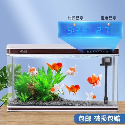 創海魚缸怎么樣:創海魚缸家居裝飾品質量和實用性受到消費者關注 魚缸百科 第2張 創海魚缸怎么樣:創海魚缸家居裝飾品質量和實用性受到消費者關注 創海魚缸怎么樣:創海魚缸家居裝飾品質量和實用性受到消費者關注 魚缸百科 第2張