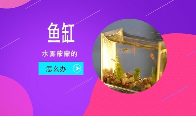 上海茉黎水族燈具照明有限公司（茉黎今年24歲,身高一米六八,是一家私立學(xué)校的任課老師） 上海茉黎水族燈具照明有限公司（茉黎今年24歲,身高一米六八,是一家私立學(xué)校的任課老師） 全國(guó)水族館企業(yè)名錄 第1張