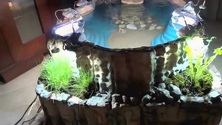 龍魚缸吧,龍魚缸的設計、風水及其在家庭環境中的作用 魚缸百科 第2張 龍魚缸吧,龍魚缸的設計、風水及其在家庭環境中的作用 龍魚缸吧,龍魚缸的設計、風水及其在家庭環境中的作用 魚缸百科 第2張