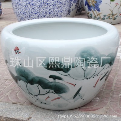 觀賞魚的壽命是多少天（觀賞魚的壽命是多少天呢）