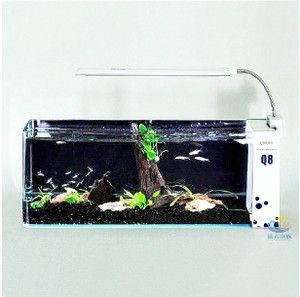 超白魚缸刮花了怎么修復：超白魚缸刮花怎么修復