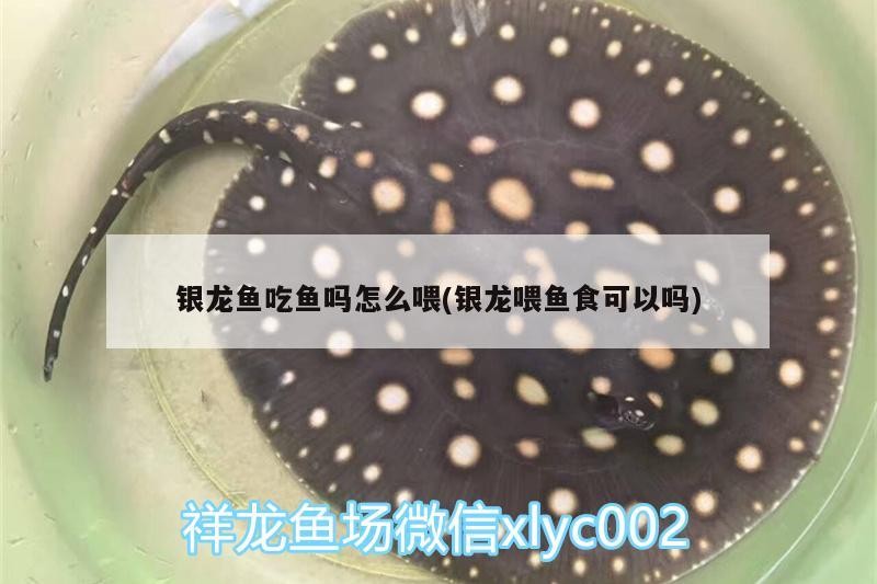 成都定做魚缸廠家有哪些地方可麗愛魚缸廠家有哪些，成都定做魚缸廠家