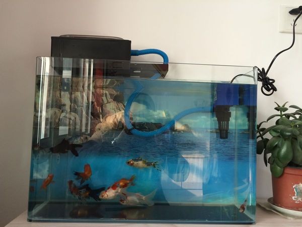 創海魚缸水泵怎樣安裝：魚缸水泵安裝方法