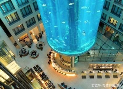 大興清洗魚缸的地方有哪些：北京勇創水族老店提供上門清洗魚缸服務提供上門清洗服務 大興清洗魚缸的地方有哪些：北京勇創水族老店提供上門清洗魚缸服務提供上門清洗服務 魚缸百科 第1張