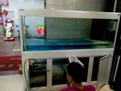 大興清洗魚缸的地方有哪些：北京勇創水族老店提供上門清洗魚缸服務提供上門清洗服務 大興清洗魚缸的地方有哪些：北京勇創水族老店提供上門清洗魚缸服務提供上門清洗服務 魚缸百科 第3張