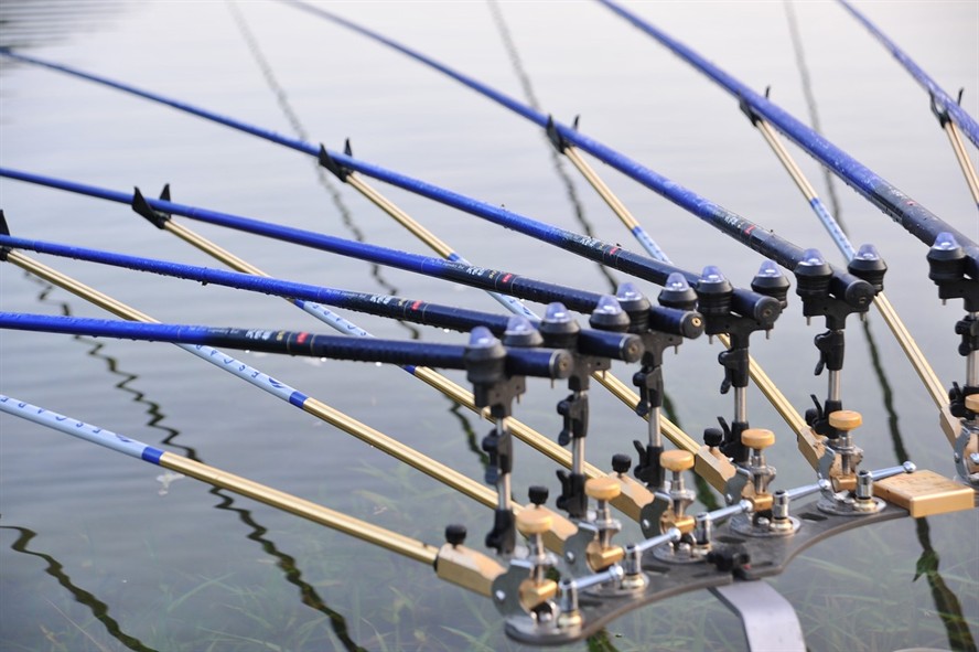 怎樣清除魚缸里的綠藻呢視頻(怎么去除魚缸的綠藻) 怎樣清除魚缸里的綠藻呢視頻(怎么去除魚缸的綠藻) 虎魚百科 第1張