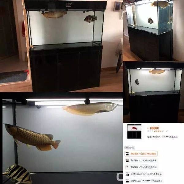 博山二手魚缸出售：博山二手魚缸出售信息 博山二手魚缸出售：博山二手魚缸出售信息 魚缸百科 第4張