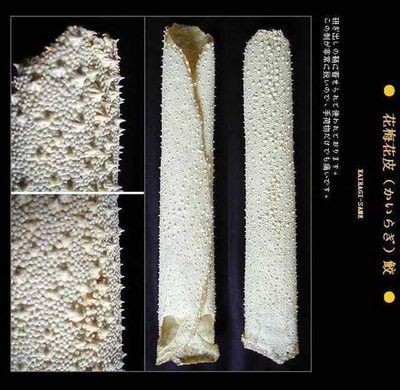福魟魟魚專用飼料購買渠道，淘寶上哪些品牌魟魚飼料受歡迎