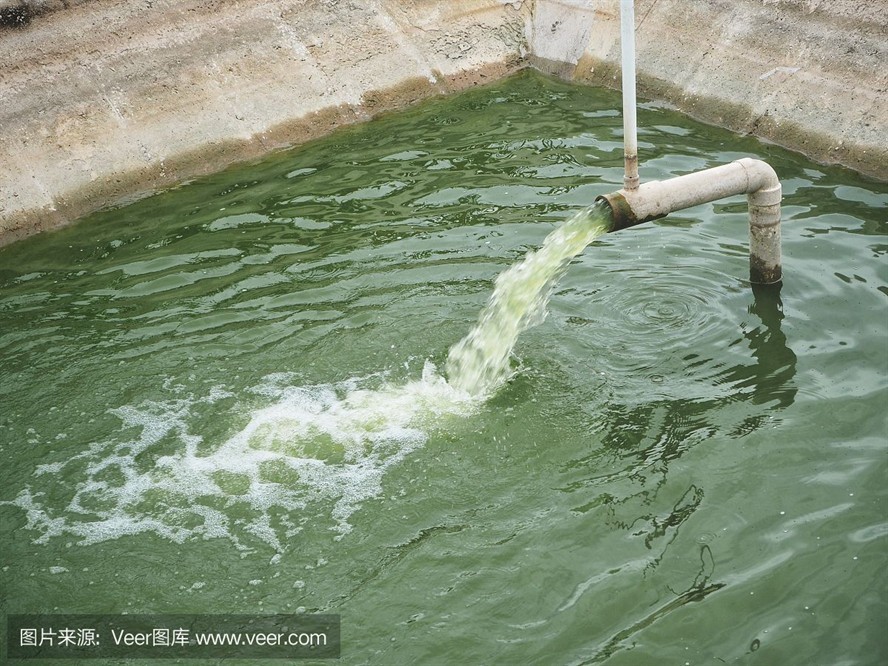 福魟魟魚專用飼料購買渠道,淘寶上哪些品牌魟魚飼料受歡迎 魟魚百科 第5張 福魟魟魚專用飼料購買渠道,淘寶上哪些品牌魟魚飼料受歡迎 福魟魟魚專用飼料購買渠道,淘寶上哪些品牌魟魚飼料受歡迎 魟魚百科 第5張