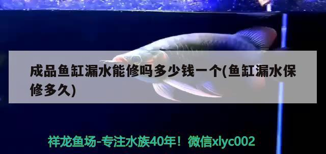 成品魚缸漏水能修嗎多少錢一個(魚缸漏水保修多久) 成品魚缸漏水能修嗎多少錢一個(魚缸漏水保修多久) 森森魚缸