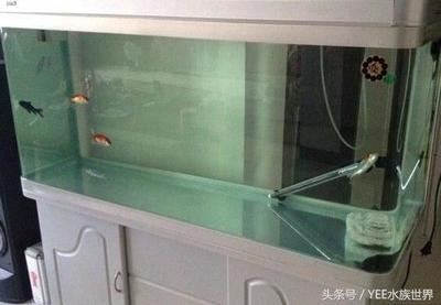 詳細(xì)閱讀:臨汾魚缸清洗電話(清洗魚缸服務(wù)電話) 臨汾魚缸清洗電話(清洗魚缸服務(wù)電話)