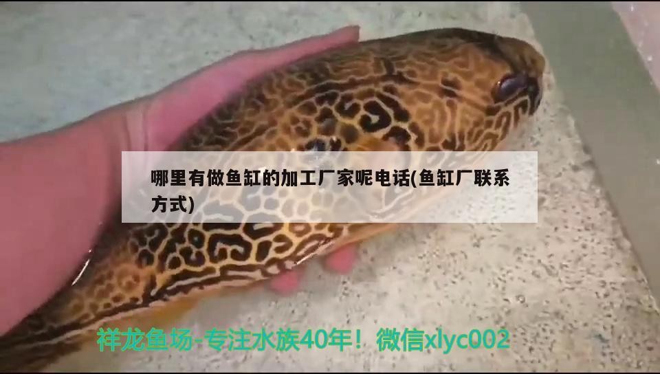 哪里有做魚缸的加工廠家呢電話(魚缸廠聯系方式) 哪里有做魚缸的加工廠家呢電話(魚缸廠聯系方式) 森森魚缸