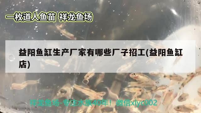 益陽魚缸生產廠家有哪些廠子招工(益陽魚缸店)