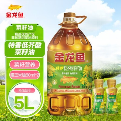 金龍魚藍底好還是金底好