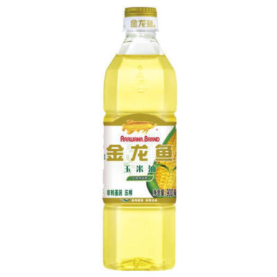 金龍魚藍(lán)底好還是金底好