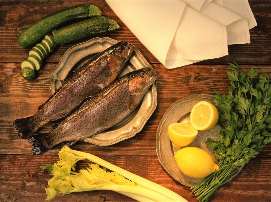 河豚魚是淡水魚嗎_(河豚魚是淡水還是海水) 魟魚百科 第3張 河豚魚是淡水魚嗎_(河豚魚是淡水還是海水) 河豚魚是淡水魚嗎_(河豚魚是淡水還是海水) 魟魚百科 第3張