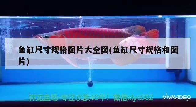魚缸尺寸規格圖片大全圖(魚缸尺寸規格和圖片)