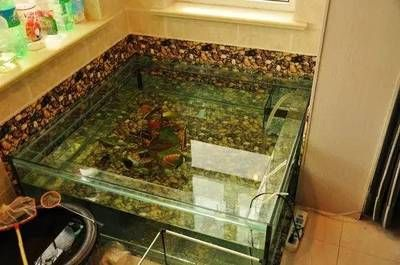 把魚缸放在陽臺(tái)的位置好不好：魚缸擺放在陽臺(tái)的風(fēng)水注意事項(xiàng) 把魚缸放在陽臺(tái)的位置好不好：魚缸擺放在陽臺(tái)的風(fēng)水注意事項(xiàng) 魚缸百科 第3張